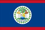 Billedresultat for belize flag